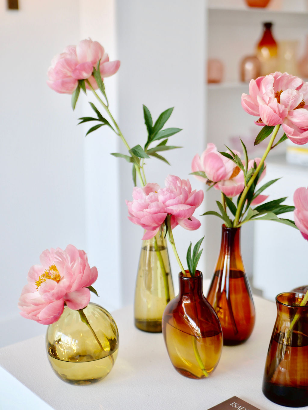 Isadia | Auckland Flowers