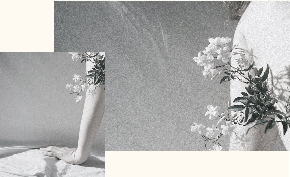 Isadia | Auckland Flowers