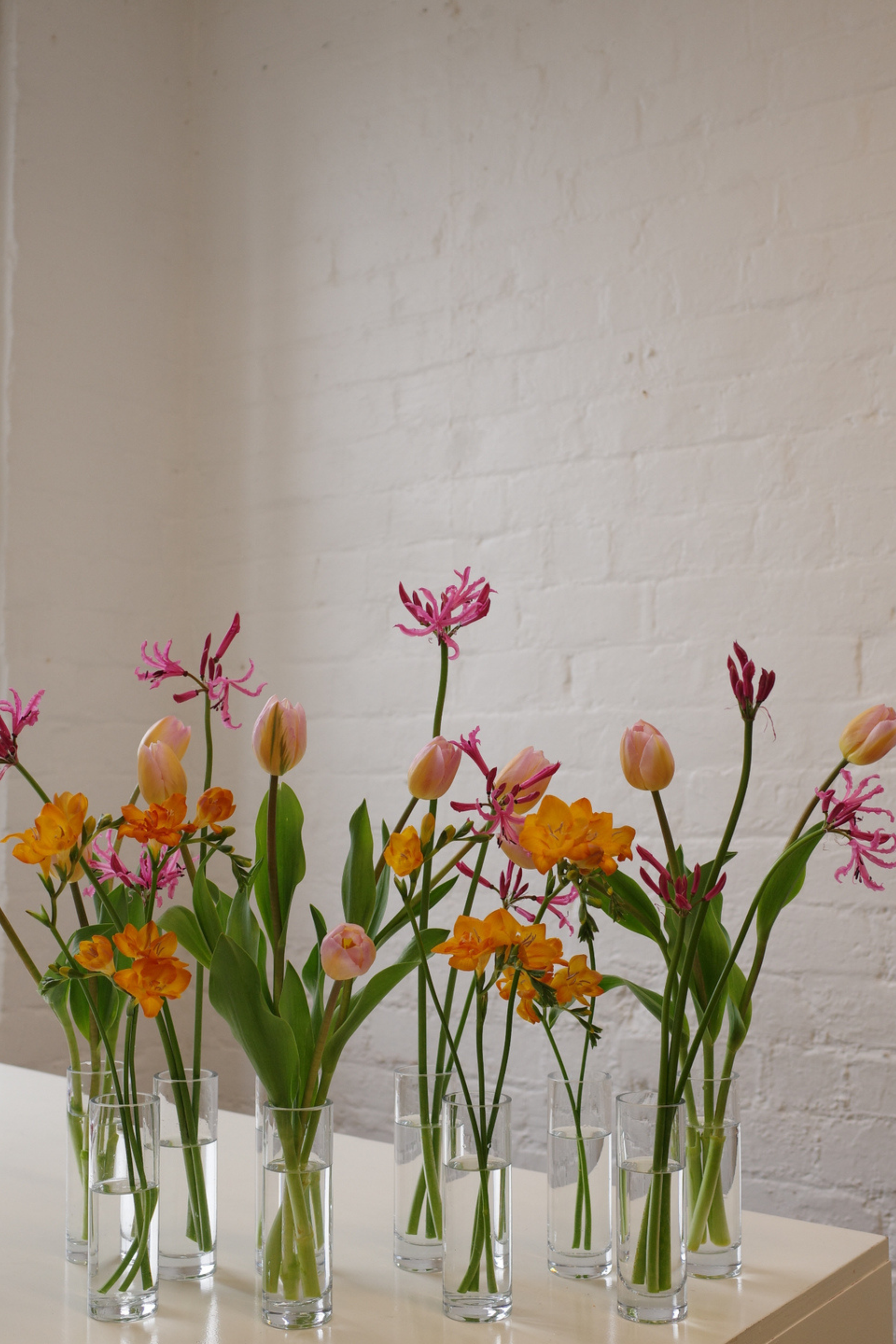 Bud Vase Bundle