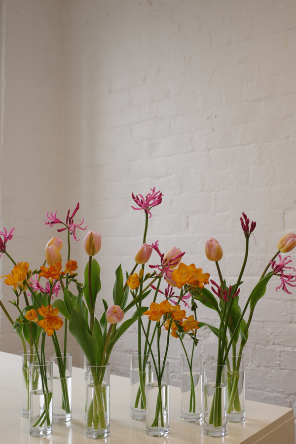 Bud Vase Bundle