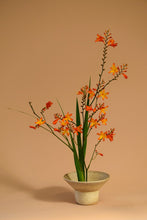 Load image into Gallery viewer, Humphrey Tait x Isadia Ikebana Kit
