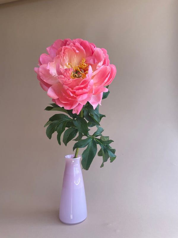 Peony Subscription