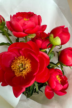 Load image into Gallery viewer, Peony season!
