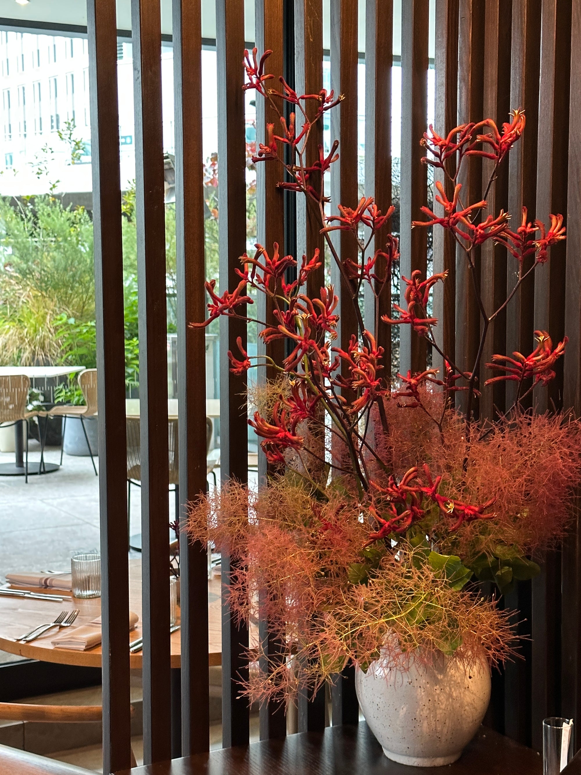 Decorative floral arrangement with red kangaroo paw flowers and smoke bush foliage in front of horizontal blinds.
