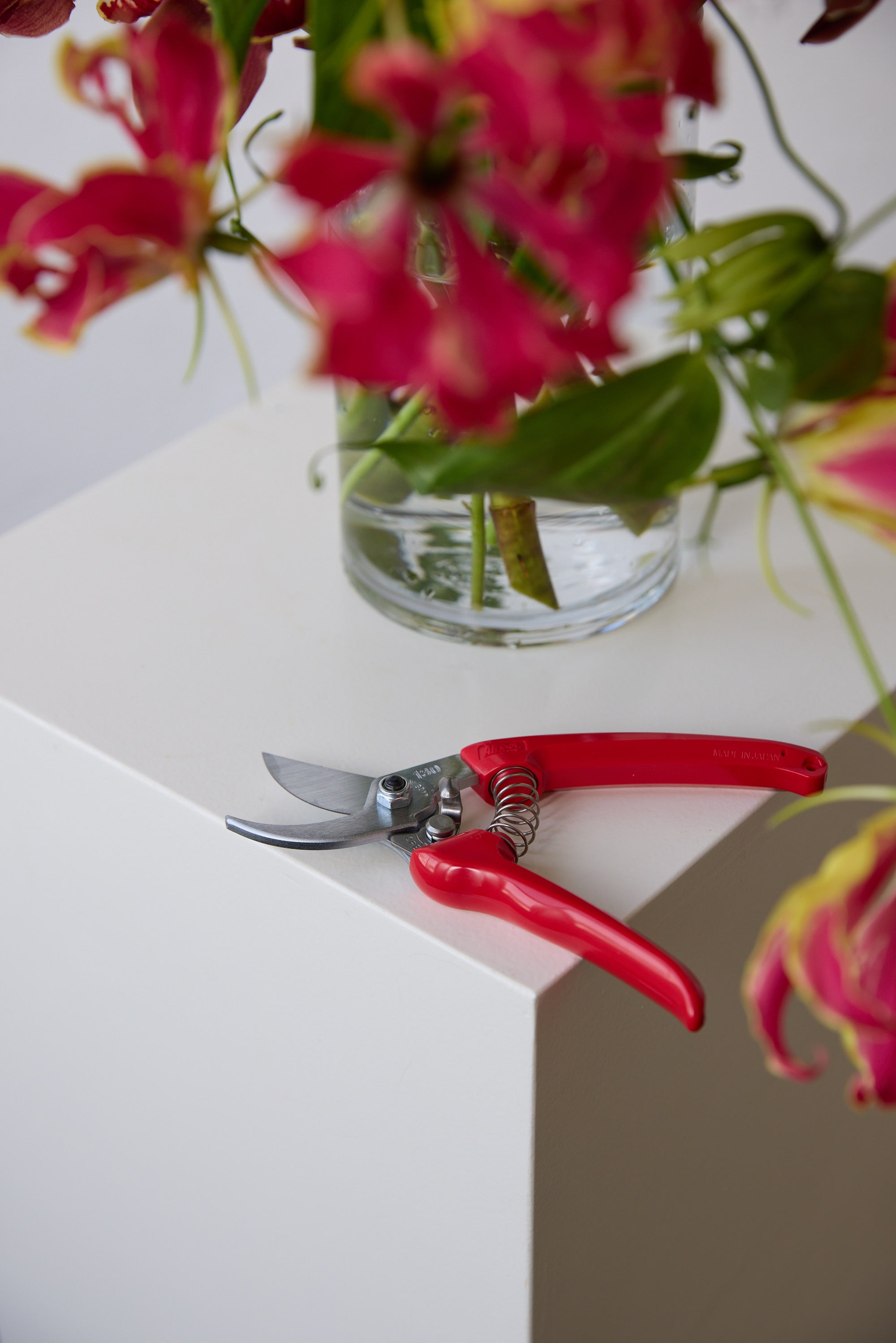 ARS Secateurs