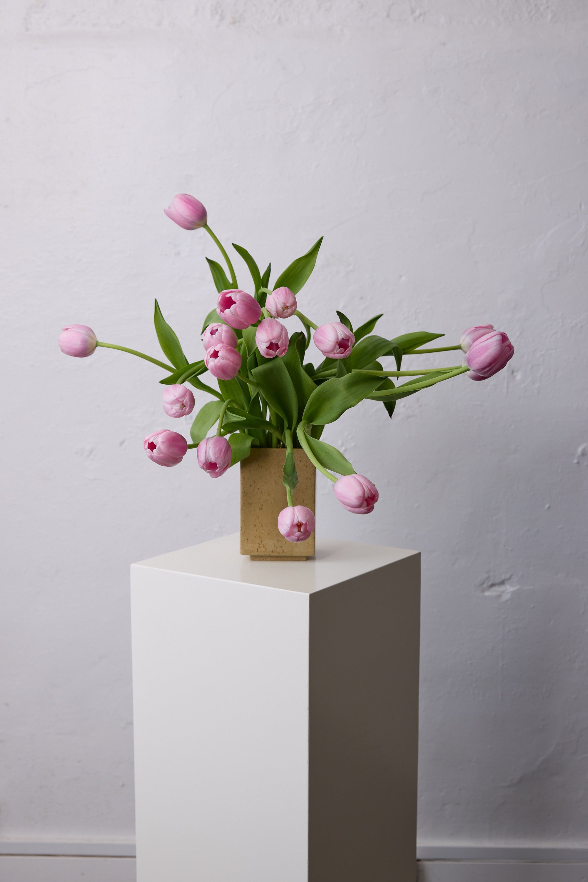 Isadia x Misma Anaru Vase
