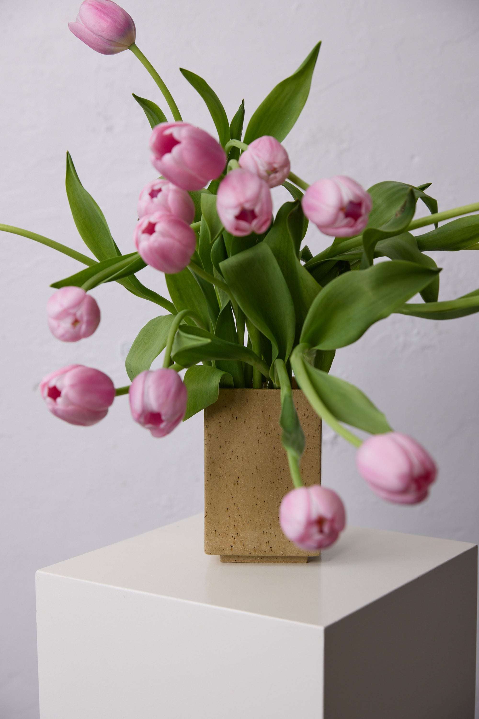 Isadia x Misma Anaru Vase