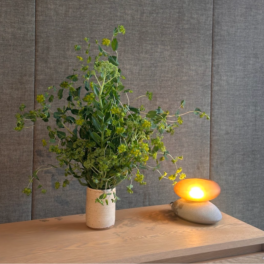 Potted plant on a wooden surface with a lit candle against a gray wall