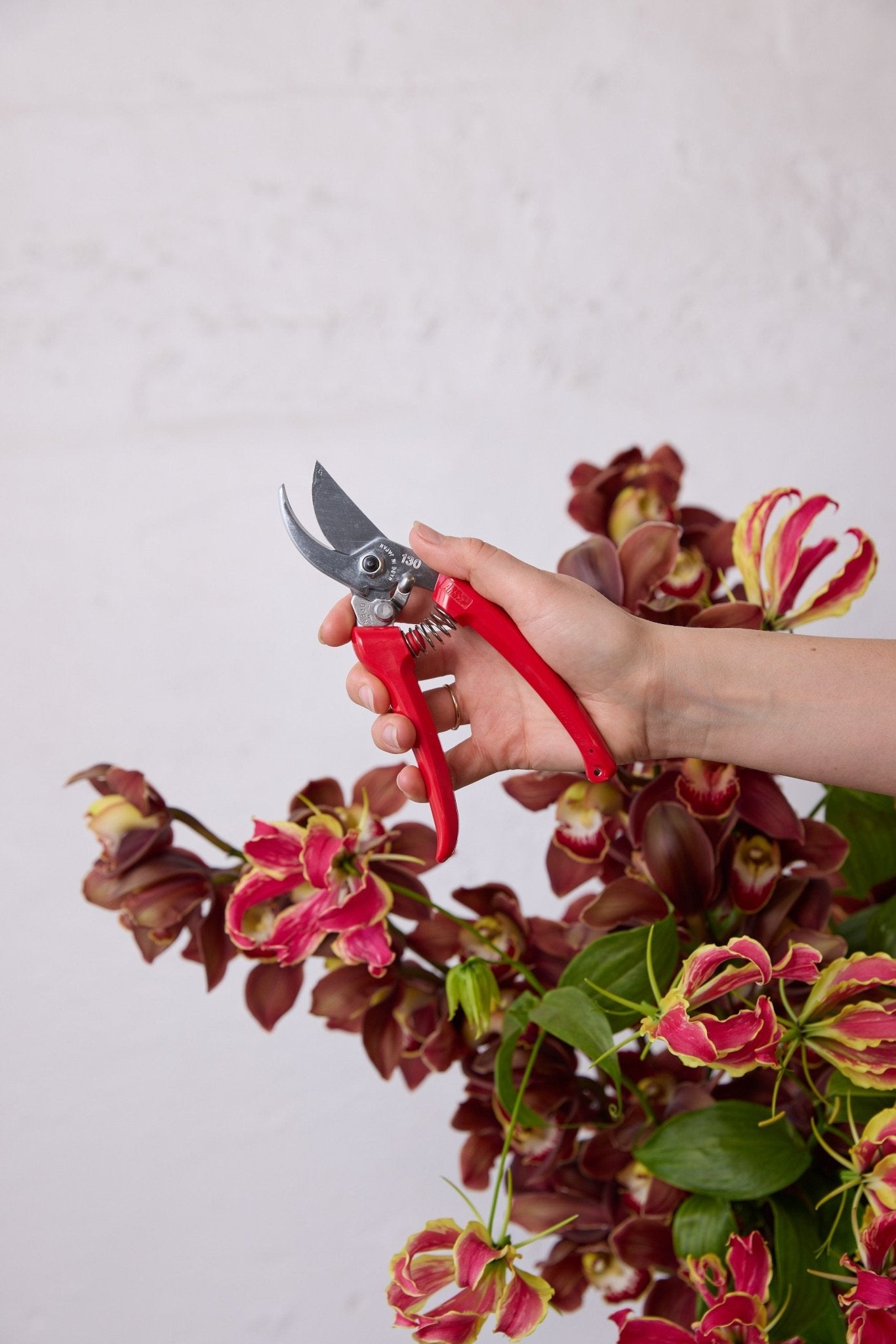 ARS Secateurs - Isadia