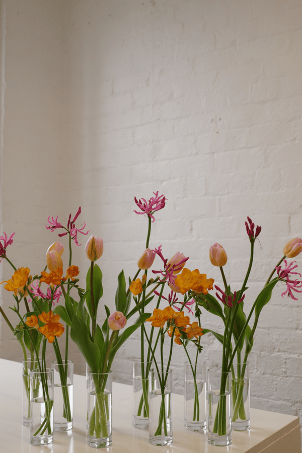 Bud Vase Bundle - Isadia