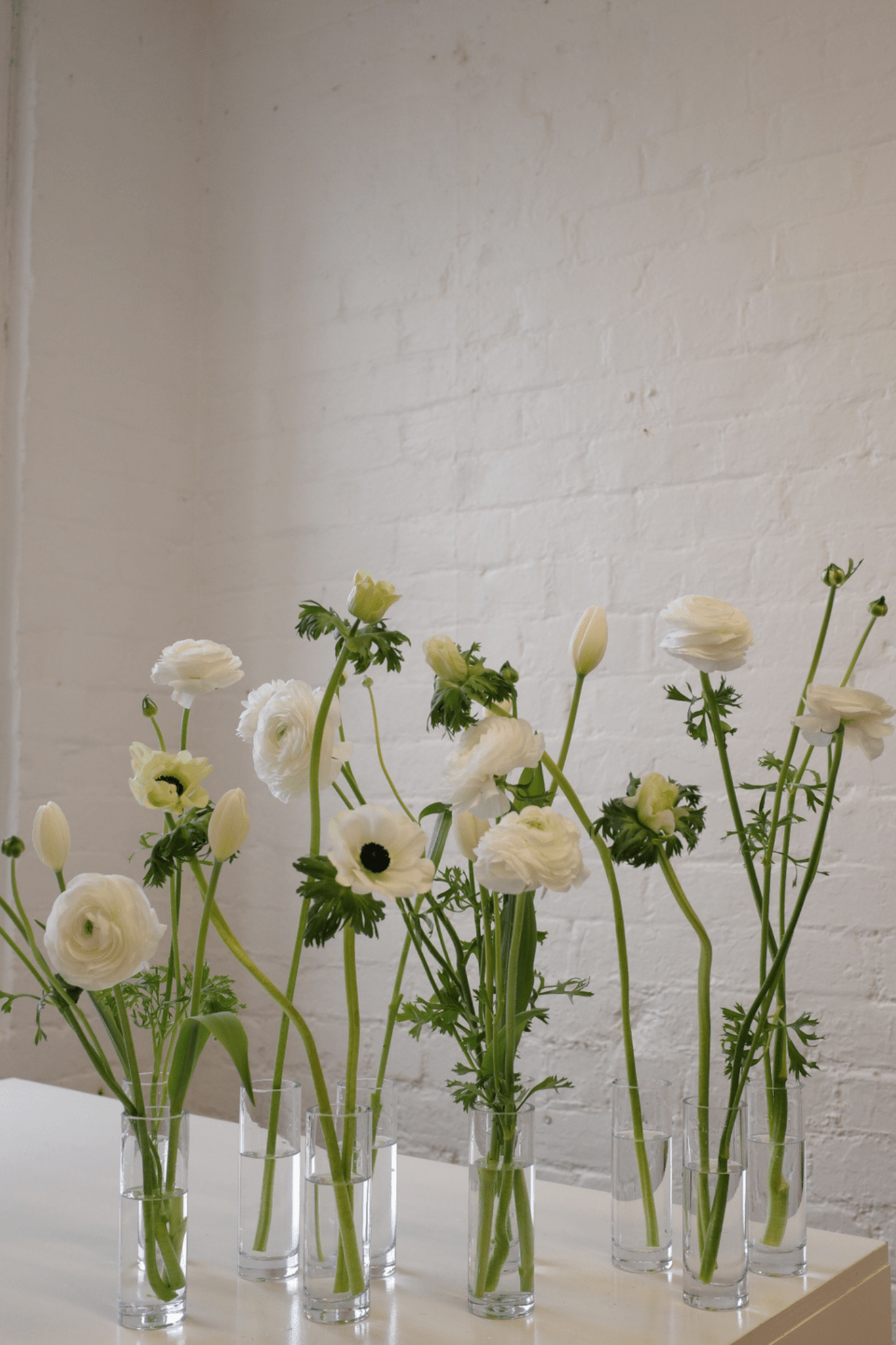 Bud Vase Bundle - Isadia