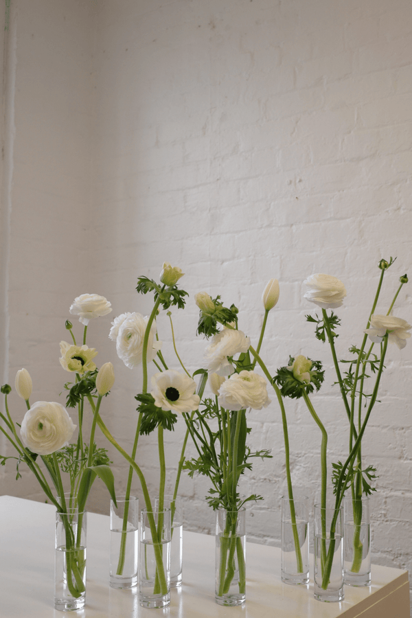 Bud Vase Bundle - Isadia