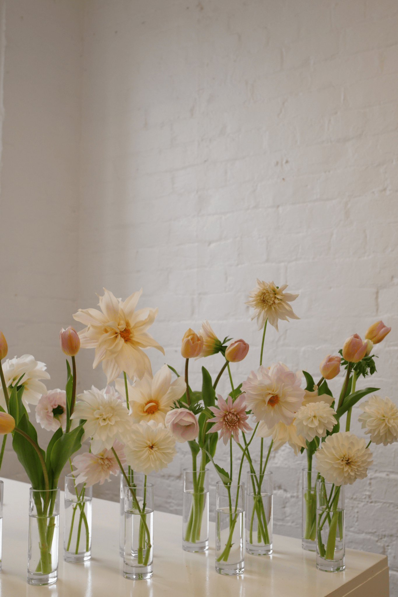 Bud Vase Bundle - Isadia