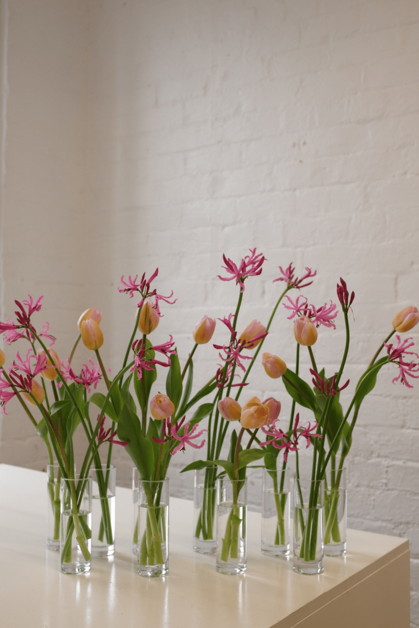Bud Vase Bundle - Isadia