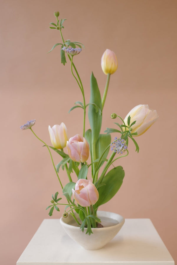 Ikebana Kit - Isadia