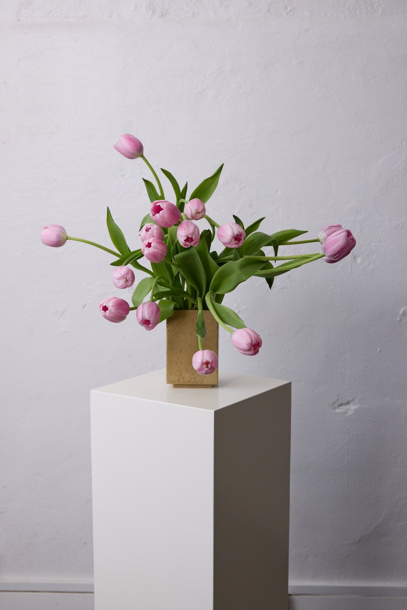 Isadia x Misma Anaru Vase - Isadia