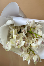 Load image into Gallery viewer, Orchids en masse
