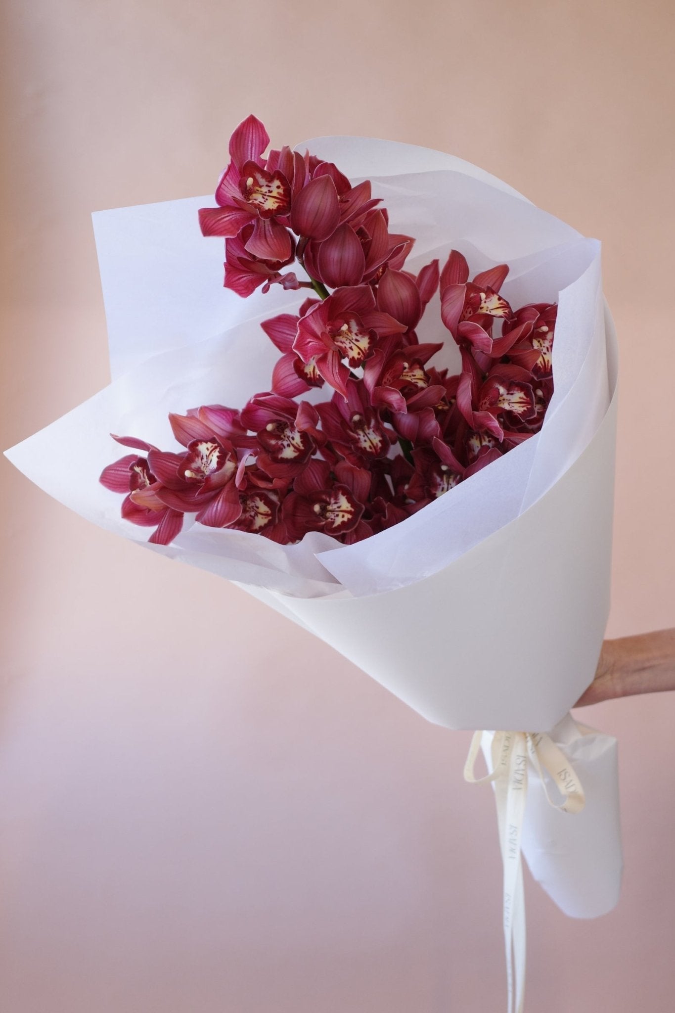 Orchids en masse - Isadia