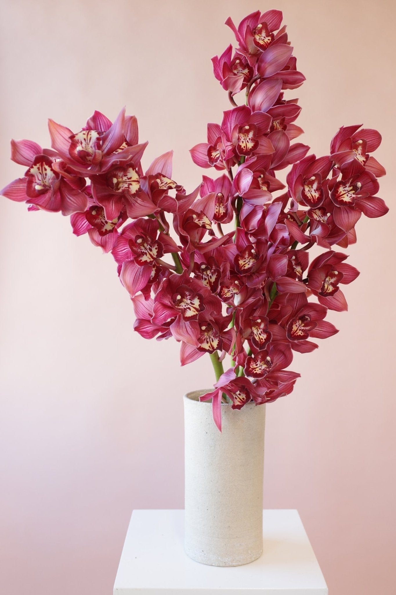 Orchids en masse - Isadia