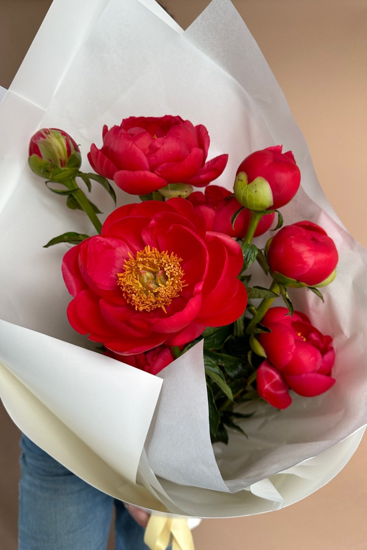 Peonies en masse - Isadia