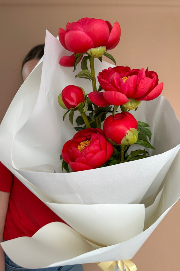 Peonies en masse - Isadia