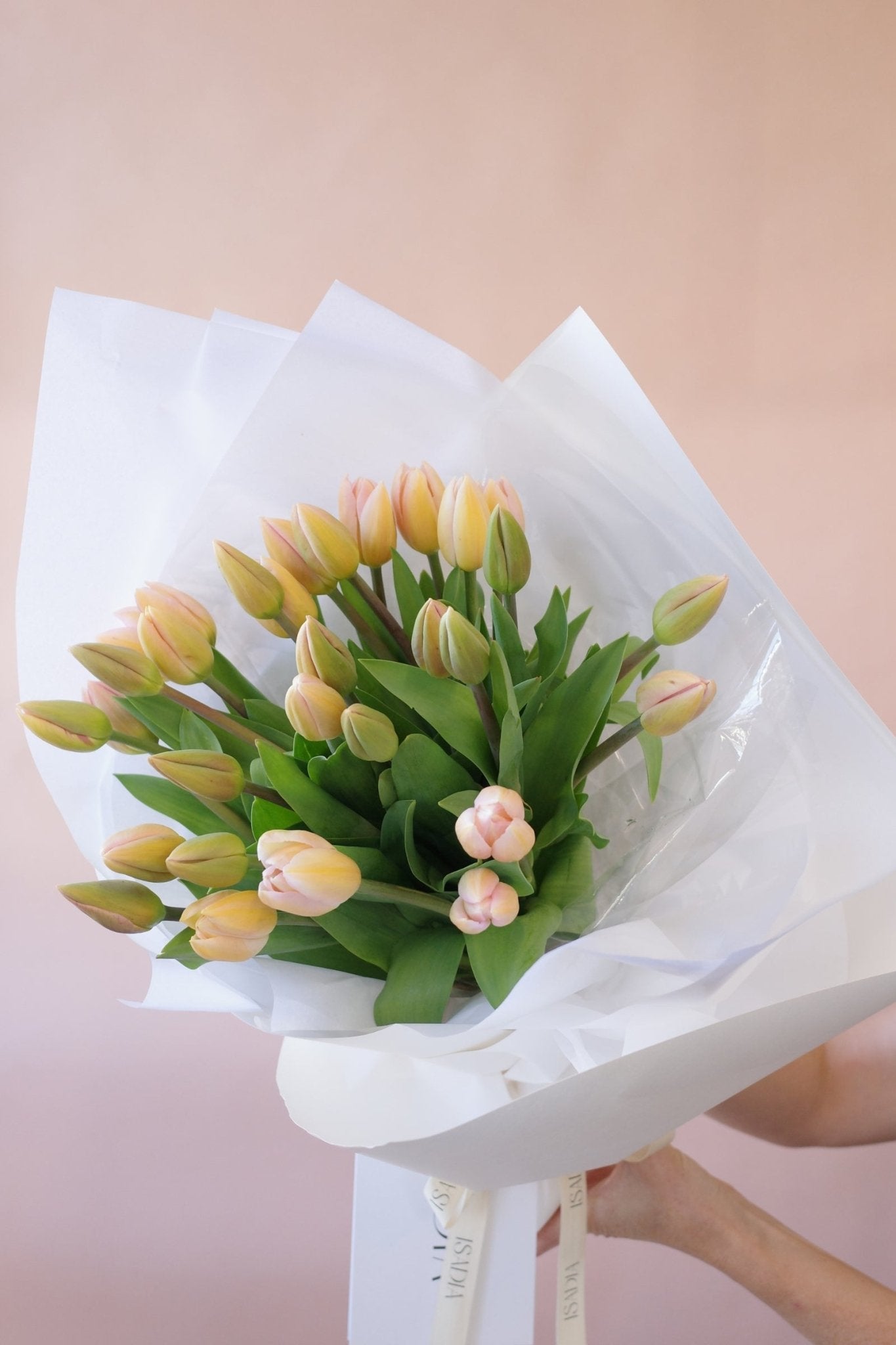 Tulips en masse - Isadia