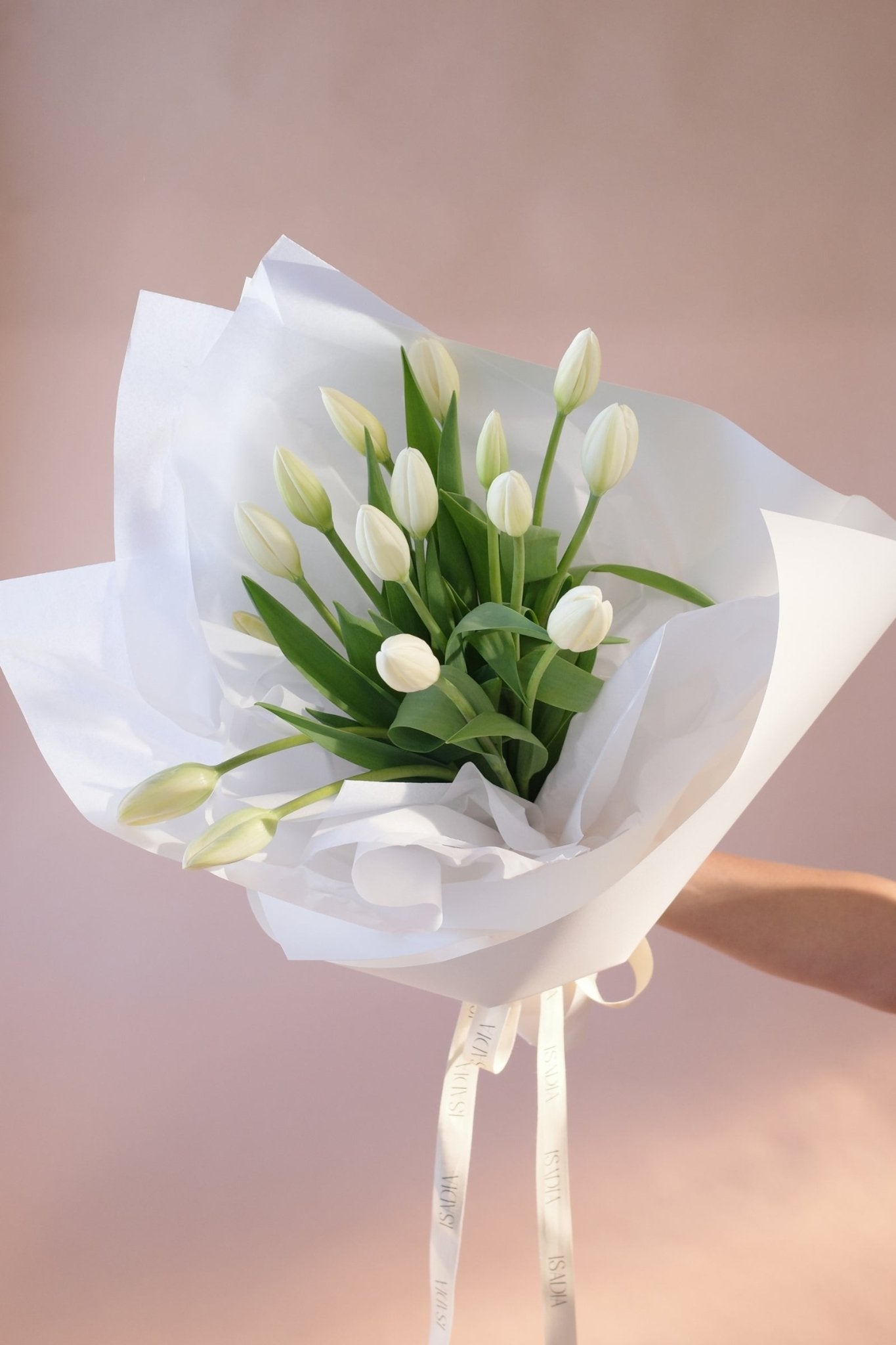 Tulips en masse - Isadia