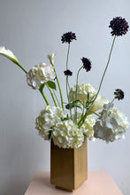 Load image into Gallery viewer, Isadia x Misma Anaru Vase
